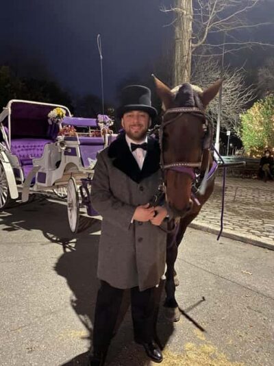 Private Christmas Lights Horse Carriage Ride