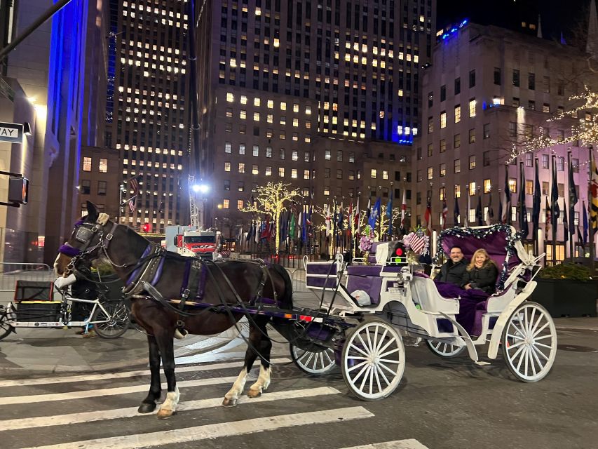 NYC: Private Christmas Lights Horse Carriage Ride - The horse, carriage, and winter comfort