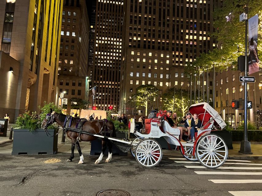 NYC: Private Christmas Lights Horse Carriage Ride - Is $350 a fair price?