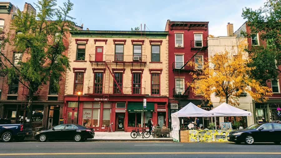 NYC Private Walking Tour with Professional Guide - Greenwich Village or Harlem for a more personal route