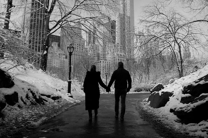 NYC Professional Photoshoot and Walking Tour with Private Guide - Brooklyn Bridge: the grand finale