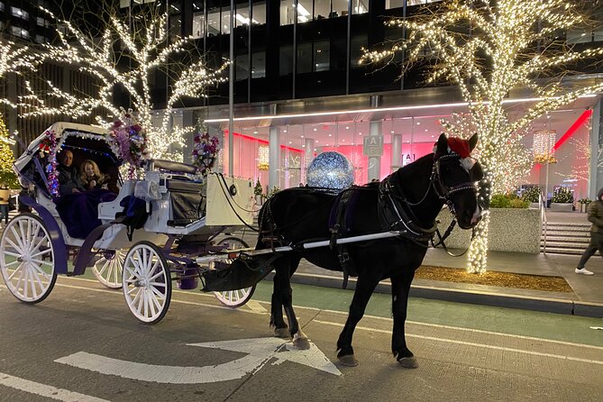 NYC Rockefeller Center Christmas Lights Horse Carriage Ride - Key details before you reserve