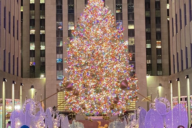 NYC Rockefeller Center Christmas Lights Horse Carriage Ride - Wollman Rink, the carousel, and the park’s southern edge