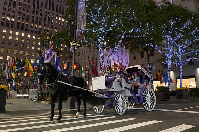 NYC Rockefeller Center Christmas Lights Horse Carriage Ride - The return route depends on traffic