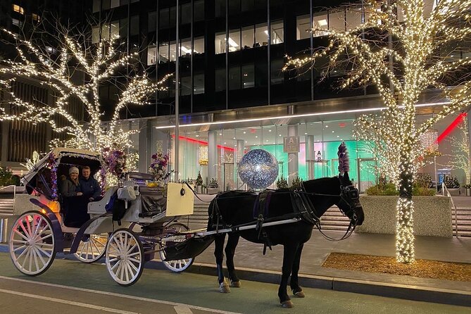 NYC Rockefeller Center Christmas Lights Horse Carriage Ride - Blankets, carrots, and winter comfort