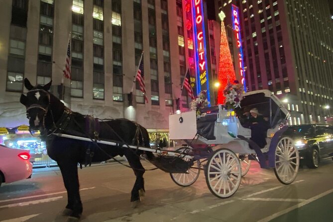 NYC Rockefeller Center Christmas Lights Horse Carriage Ride - Is $292 fair for 45 minutes?