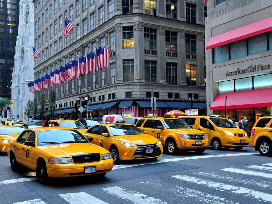 NYC: See 30+ Top Sights in One Day - Kids Join Free! - Key points before you book