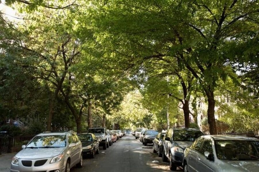 NYC: Soho, Little Italy and Chinatown Private Walking Tour - The Guide’s Role in the Experience
