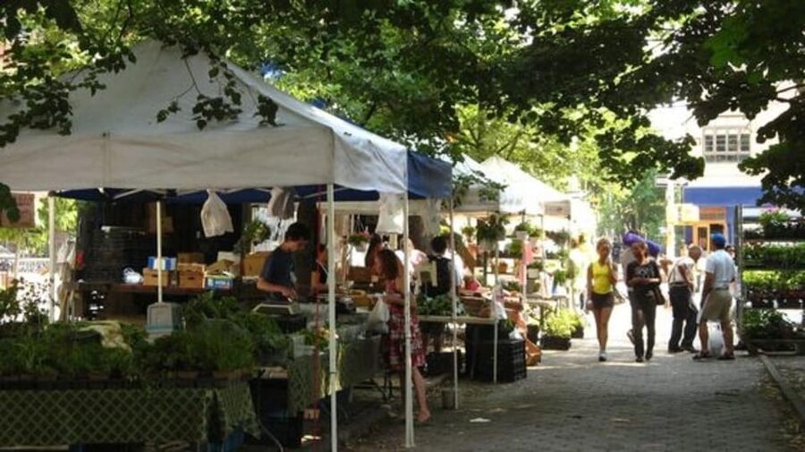NYC: Soho, Little Italy and Chinatown Private Walking Tour - Should You Book the SoHo, Little Italy, and Chinatown Walk?
