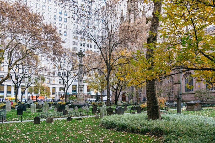 NYC: The Story of Alexander Hamilton Private Walking Tour - Why the guide matters so much