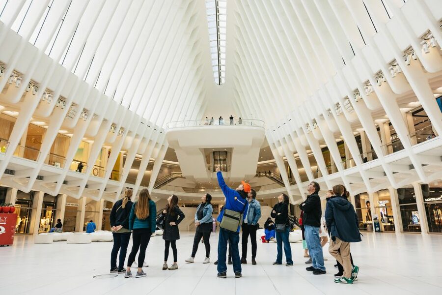 NYC: Wall Street Tour with 9/11 Memorial and Statue Ferry - Ellis Island and choosing your own finish