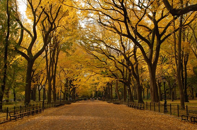 Official Central Park Walking Tour - Sheep Meadow and the Manhattan skyline