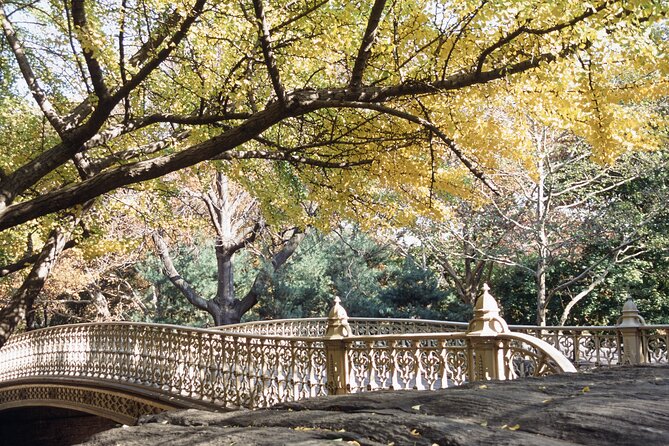 Official Central Park Walking Tour - The Mall and its American elms