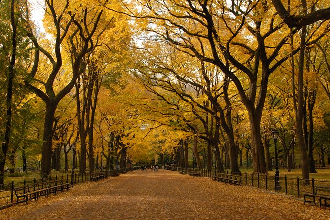 Official Central Park Walking Tour - The guides make the difference