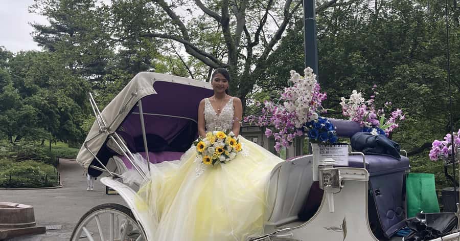 Official Exclusive VIP Horse Carriage Ride in Central Park - Key points to know before you book