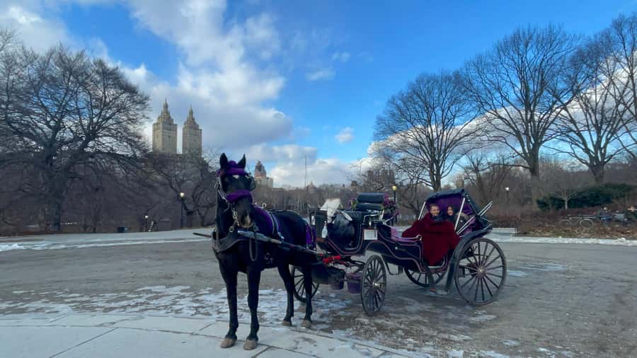 Official Exclusive VIP Horse Carriage Ride in Central Park - Why a carriage is a smart way to see Central Park