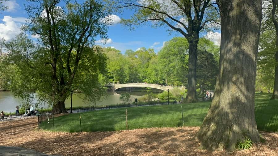 Official Exclusive VIP Horse Carriage Ride in Central Park - Wollman Rink, the Carousel, and Chess and Checkers House