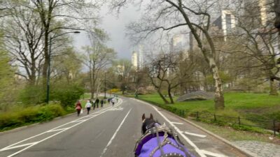 Official Exclusive VIP Horse Carriage Ride in Central Park