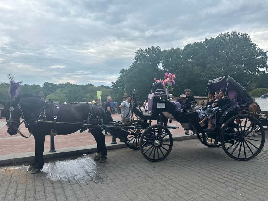 Official Exclusive VIP Horse Carriage Ride in Central Park - The Dairy and the Literary Mall