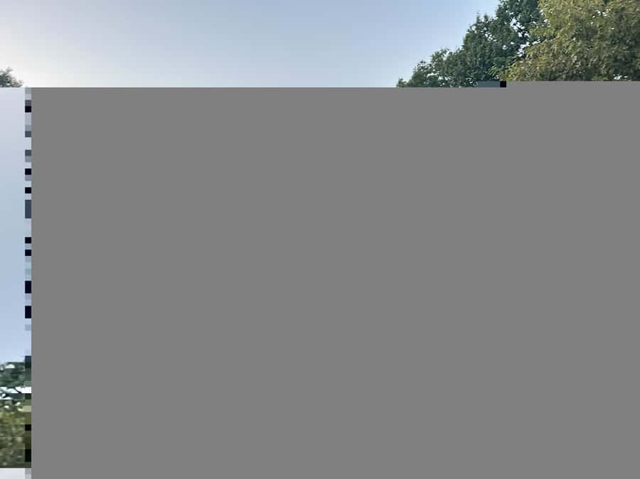 Official Exclusive VIP Horse Carriage Ride in Central Park - Bethesda Fountain and The Lake
