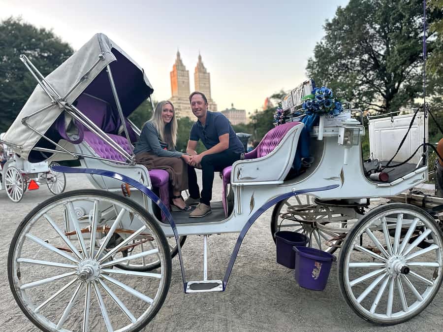 Official Exclusive VIP Horse Carriage Ride in Central Park - Sheep Meadow, Tavern on the Green, and Balto