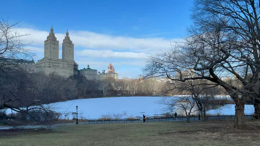 Official Exclusive VIP Horse Carriage Ride in Central Park - The guide, the horses, and the feel of the ride