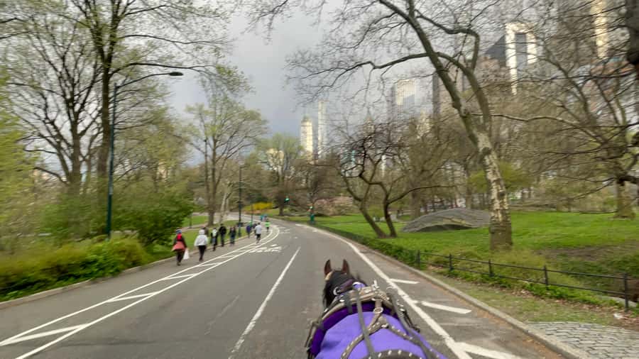 Official Exclusive VIP Horse Carriage Ride in Central Park - Meeting the carriage at Central Park South