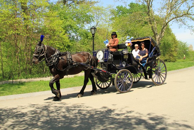 Official NYC Horse Carriage Rides in Central Park since 1979 ™ - Key points to know before you book