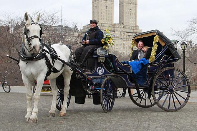 Official NYC Horse Carriage Rides in Central Park since 1979 ™ - From Wollman Rink to the Dairy