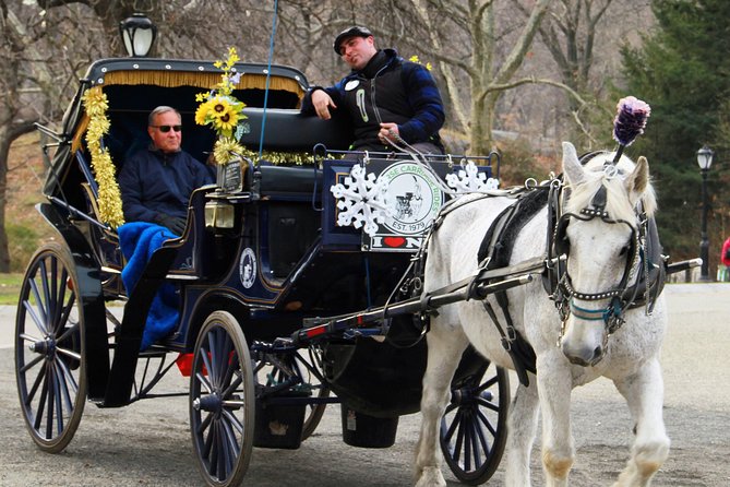 Official NYC Horse Carriage Rides in Central Park since 1979 ™ - Cherry Hill, Bow Bridge, and the Lake