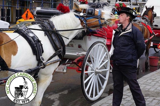 Official NYC Horse Carriage Rides in Central Park since 1979 ™ - Heckscher Playground and Columbus Circle