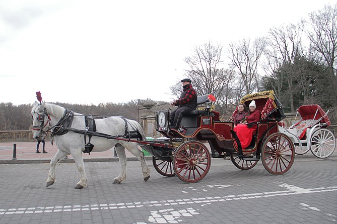 Official NYC Horse Carriage Rides in Central Park since 1979 ™ - The guides make or break the hour