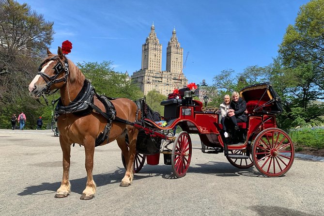 Official NYC Horse Carriage Rides in Central Park since 1979 ™ - Literary Walk, Balto, and Conservatory Water