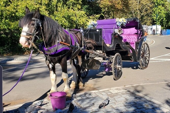 Official Private New York City Central Park Horse Carriage Ride Since 1965™ - Key things to know before booking