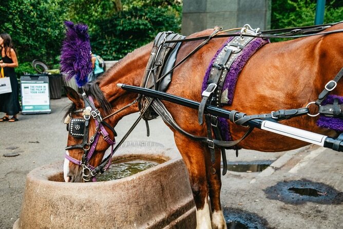 Official Private New York City Central Park Horse Carriage Ride Since 1965™ - Conservatory Water, the Boathouse, and the Lake