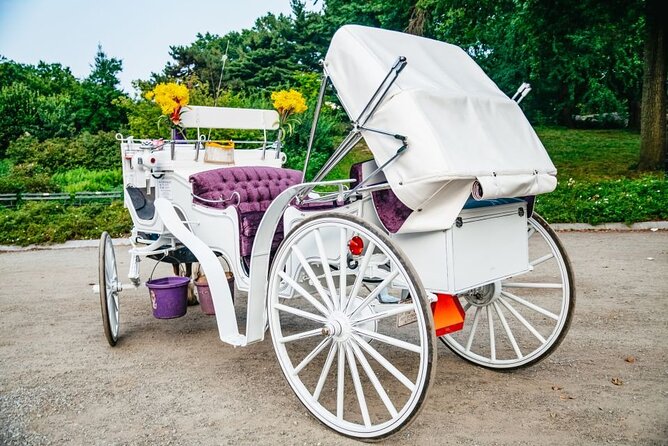 Official Private New York City Central Park Horse Carriage Ride Since 1965™ - Bethesda Fountain and Cherry Hill photo stops