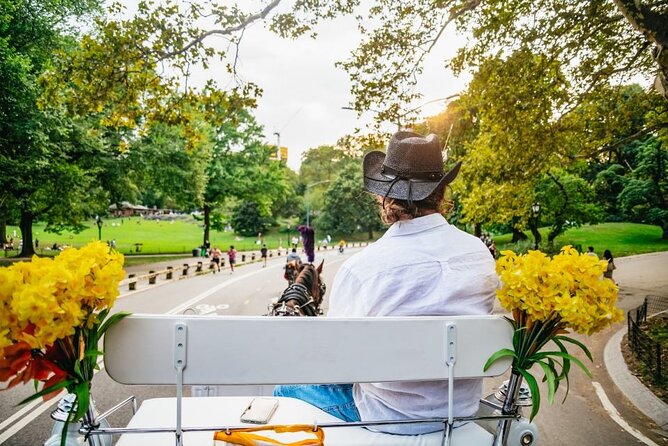 Official Private New York City Central Park Horse Carriage Ride Since 1965™ - Sheep Meadow and the park’s film locations