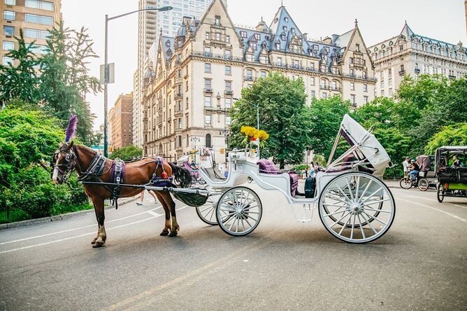 Official Private New York City Central Park Horse Carriage Ride Since 1965™ - Heckscher Playground and Columbus Circle