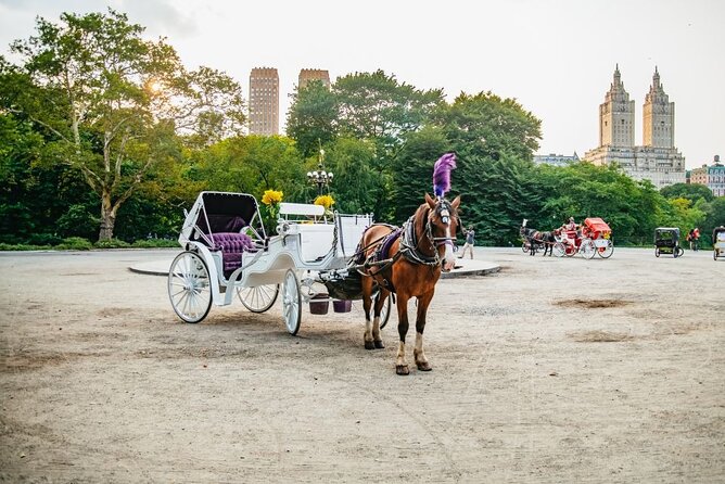 Official Private New York City Central Park Horse Carriage Ride Since 1965™ - What the drivers add to the ride