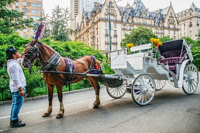 Official Private New York City Central Park Horse Carriage Ride Since 1965™ - From the Carousel to Wollman Rink