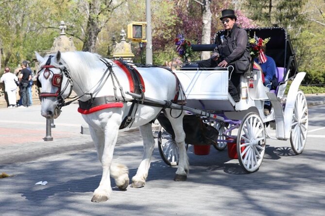 Official Private NYC Central Park Horse Carriage Ride Since 1970™ - Why a Central Park carriage ride works