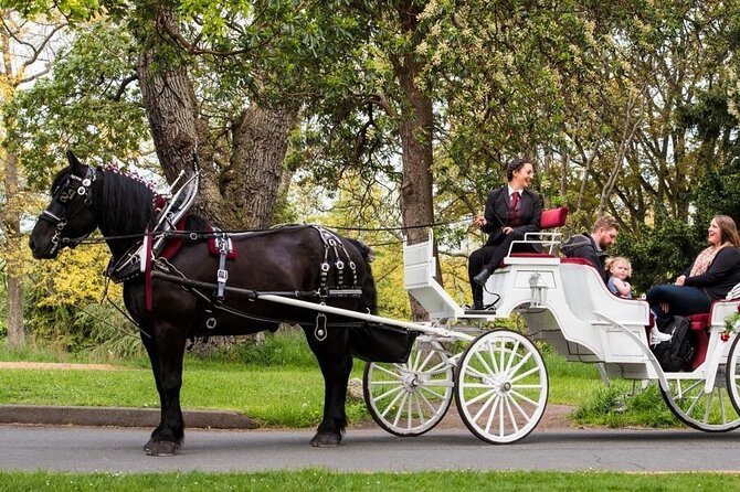 Official Private NYC Central Park Horse Carriage Ride Since 1970™ - The short route: a quick look at the park