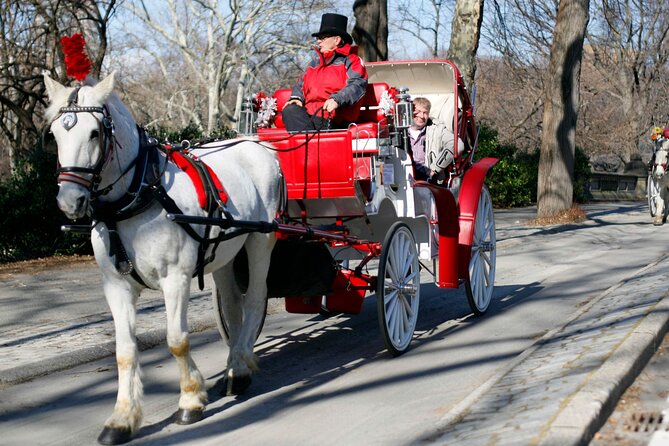 Official Private NYC Central Park Horse Carriage Ride Since 1970™ - The standard route and Balto’s brief appearance