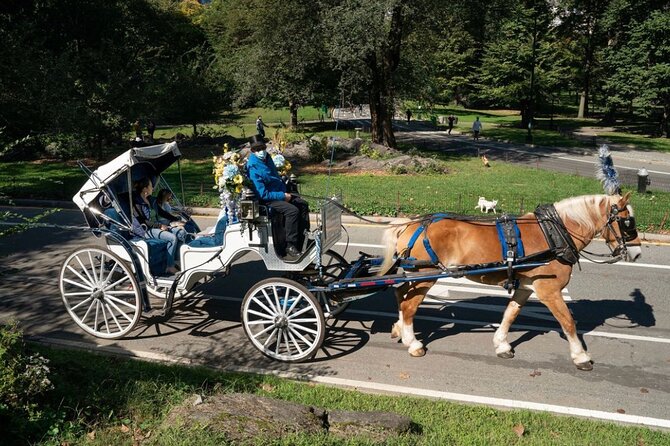 Official Private NYC Central Park Horse Carriage Ride Since 1970™ - Cherry Hill brings the ride to life