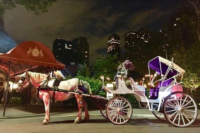 Official Private NYC Central Park Horse Carriage Ride Since 1970™ - Bridges, fountains, and movie locations