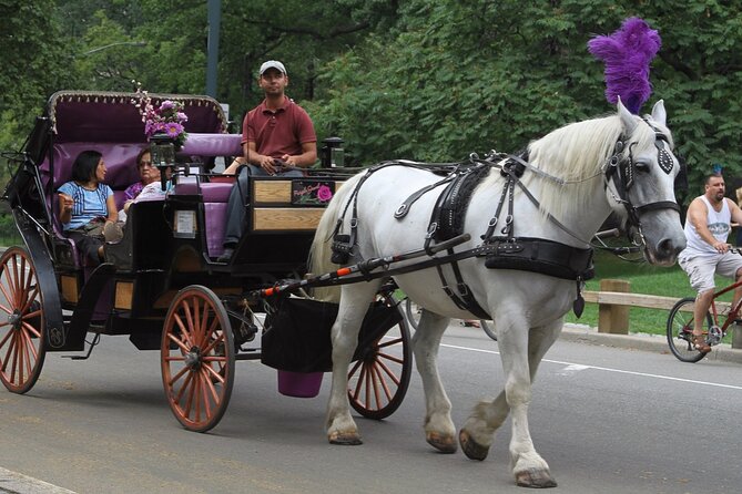 Official Private NYC Central Park Horse Carriage Ride Since 1970™ - What the guide adds to the ride