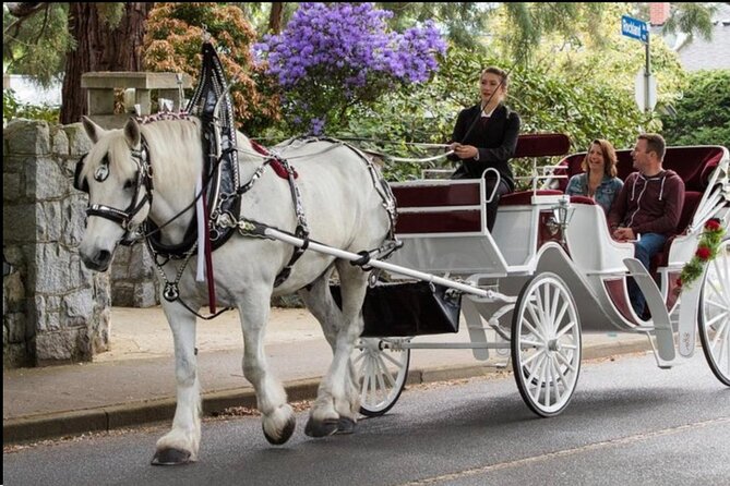 Official Private NYC Central Park Horse Carriage Ride Since 1970™ - Meeting at 200 Central Park South