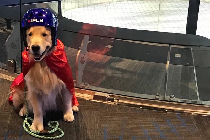 Paramus Indoor Skydiving Experience with 2 Flights & Personalized Certificate - Timing, group size, and the practical tradeoffs