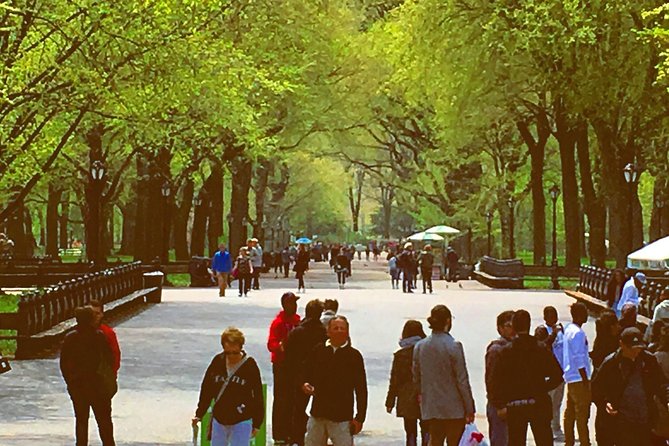 Pedicab Guided Tour of Central Park - The sights you see without getting out