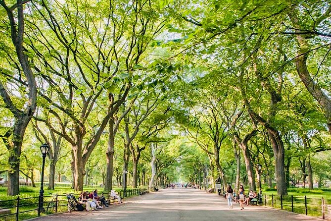 Pedicab Tours Central Park - Bow Bridge, the lake, and Cherry Hill Fountain